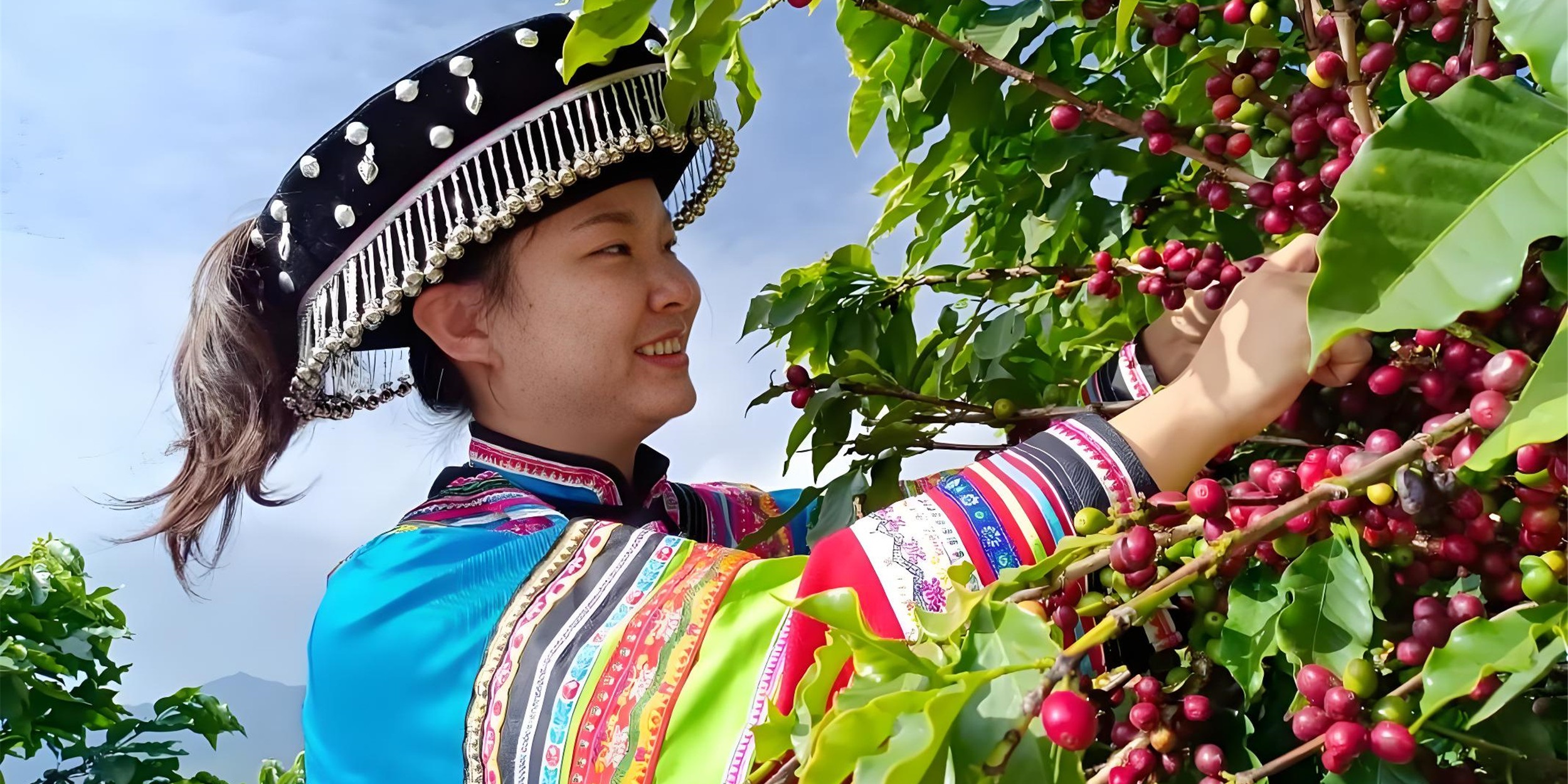 Yunnan coffee fragrance wafts around the world