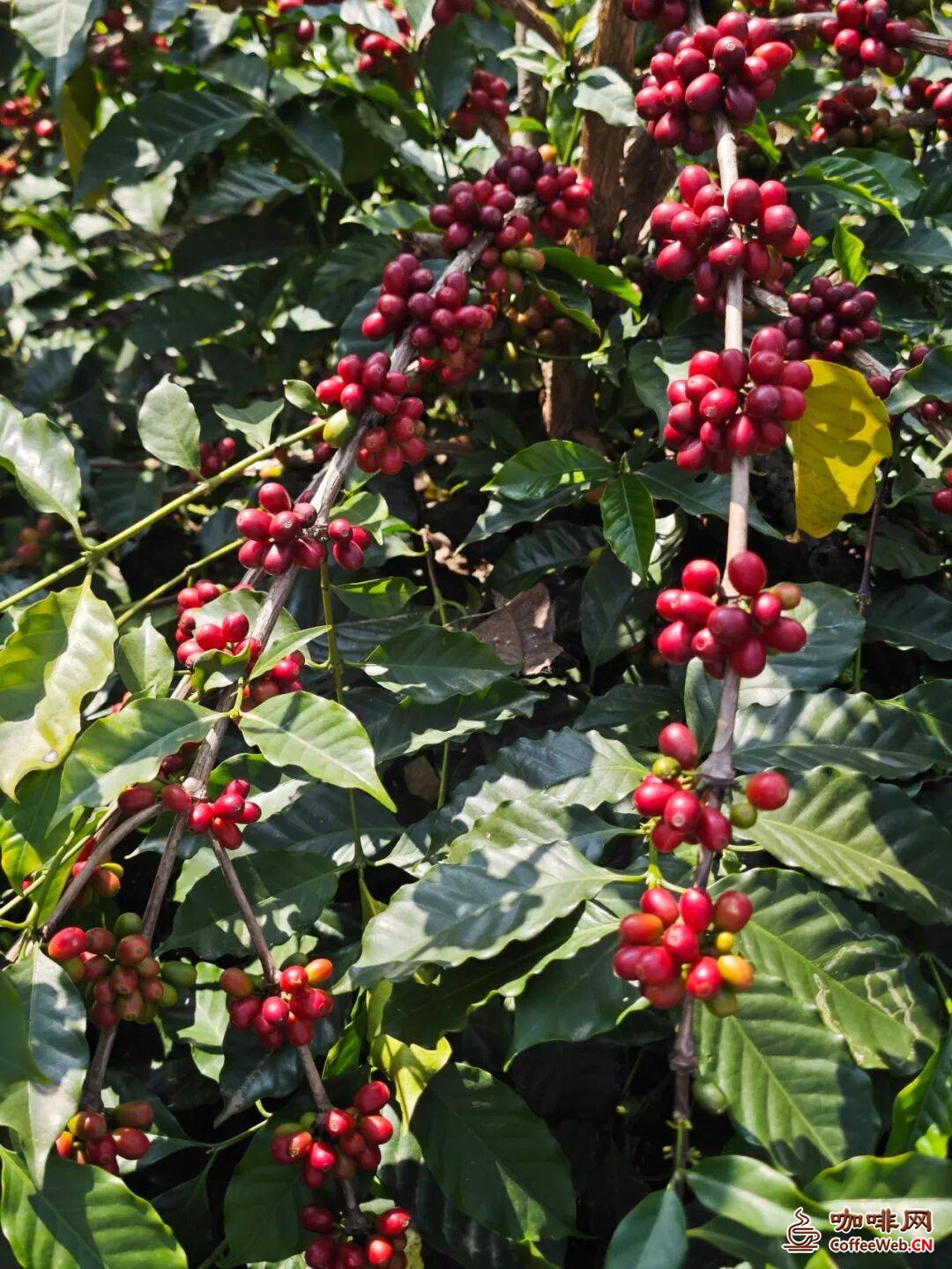 图片关键词 图片关键词