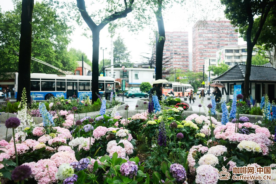 图片关键词 图片关键词