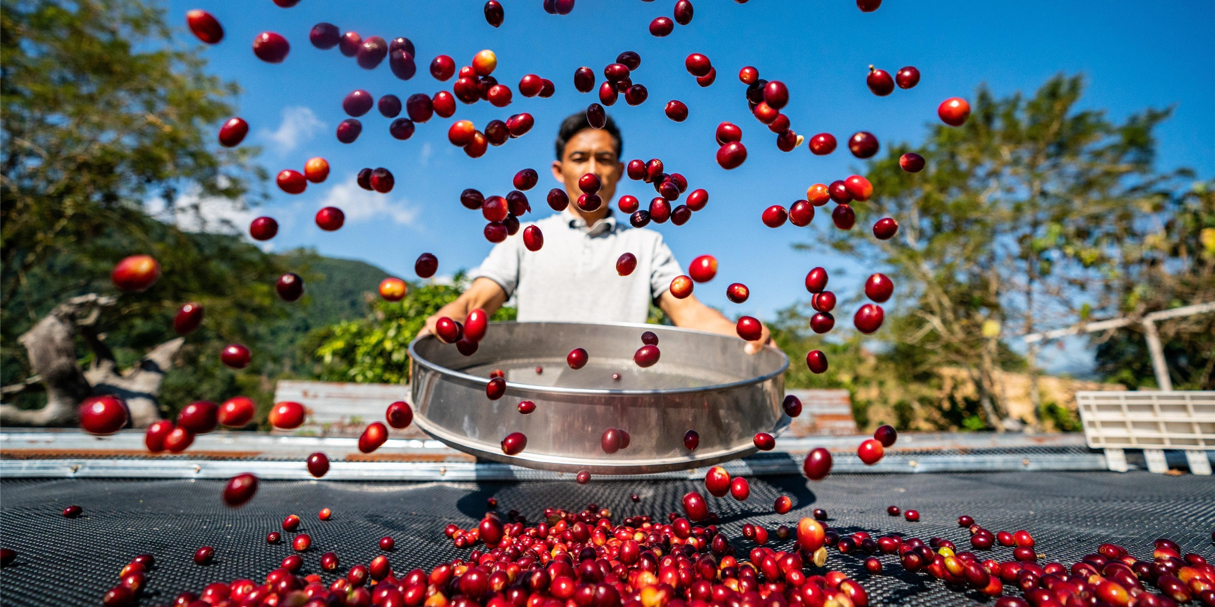 Yunnan Coffee represents China