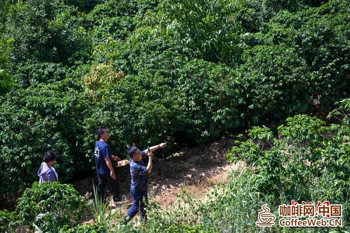 1780662550530406.jpg 7.jpg