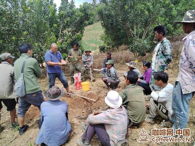 图片关键词 图片关键词
