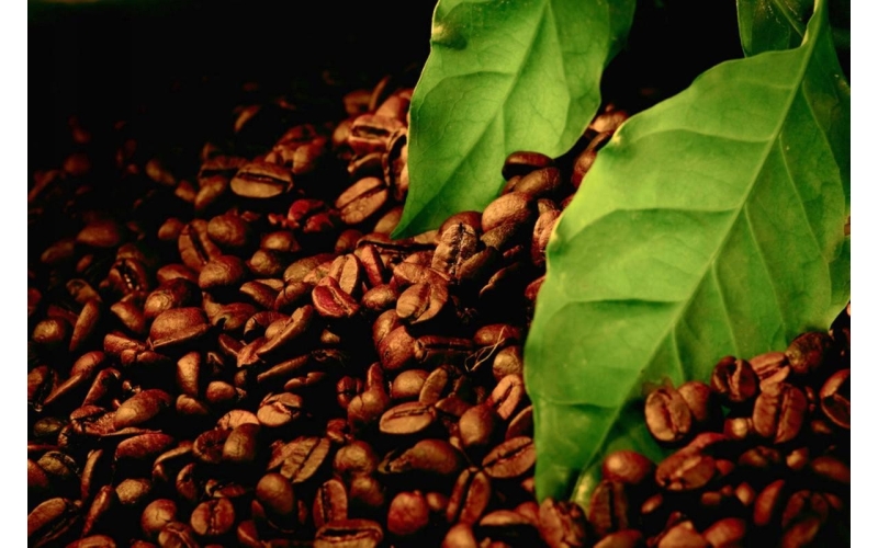 保山市加快推动咖啡产业转型升级 补短板强弱项 调结构树品牌 Baoshan City accelerates the transformation and upgrading of the coffee industry, fills the gaps, adjusts the structure of strong and weak items, and builds a brand