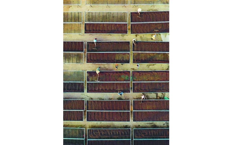 云南扩大咖啡生产、加工 Yunnan expands coffee production and processing