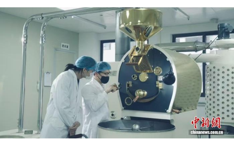 古厝咖啡融闽韵 台青十载榕城逐梦Ancient Cuo Coffee Incorporating Fujian Charm, Taiwan Youth Ten Years of Pursuing Dreams in Rongcheng