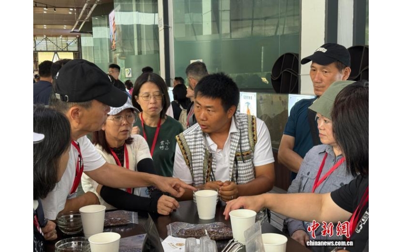 云台咖啡纪念林在云南保山&ldquo;扎根&rdquo; 推动两岸合作&ldquo;结果&rdquo;Yuntai Coffee Memorial Forest takes root in Baoshan, Yunnan, promoting cross-strait cooperation as a result