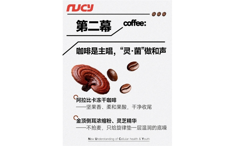 严选多元优质原料NUCY金顶侧耳灵芝咖啡打造特色咖啡风味Carefully selecting high-quality and diverse ingredients, NUCY Golden Top Ear Lingzhi Coffee creates a unique coffee flavor