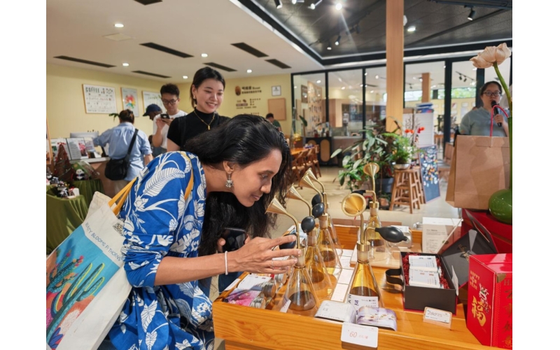 斯里兰卡研修团走进普洱：探寻咖啡致富密码 感悟林茶共生智慧Sri Lanka Training Team Enters Pu'er: Exploring the Password to Coffee Wealth and Appreciating the Wisdom of Forest Tea Symbiosis