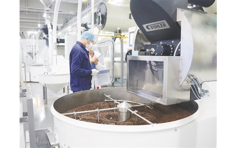 正大兴隆咖啡原料进口&ldquo;零关税&rdquo;，产品加工增值超过30%免关税出岛Zhengda Xinglong Coffee's raw materials are imported with "zero tariffs", and products with a processing value-added of over 30% are exempt from tariffs and exported from the island