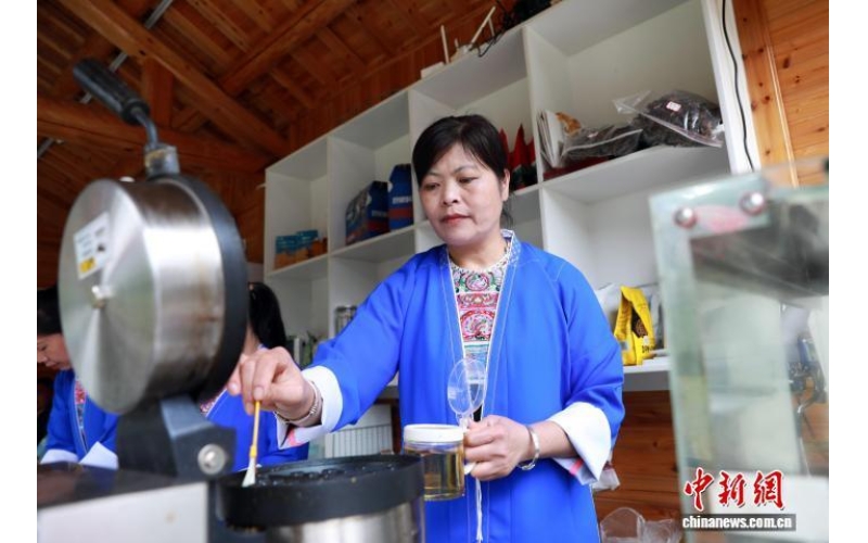 （走进中国乡村）广西深山侗寨飘出咖啡香 引来归乡人(Walking into rural China) The aroma of coffee wafts out of the deep mountain Dong villages in Guangxi, attracting returning villagers