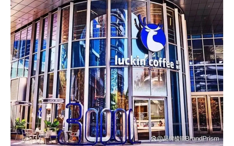 中国精品咖啡十五年：Seesaw、Manner、M Stand为何结出了不同的果实？Fifteen years of premium coffee in China: Why did Seesaw, Manner, and M Stand produce different fruits?